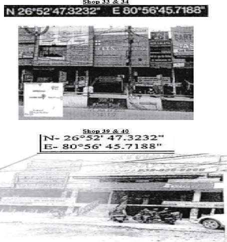 TROPICAL EXPORT-03082401